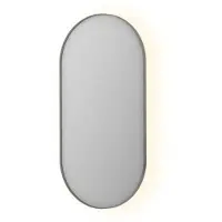 Ink Spiegel sp21 ovaal in stalen kader 60x4x120 cm met color changing led verlichting geborsteld rvs