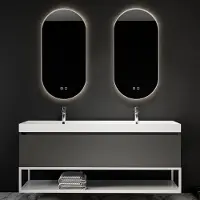 Boss & Wessing Spiegelcombinatie bws 2x thyreos 50x100 cm ovaal met rand mat wit led verlichting & geintegreerde spiegelverwarming