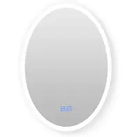 Casajoy Badkamerspiegel bright 50x70 cm ovaal ledverlichting en anticodens