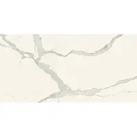Douglas & Jones Vloertegel magnum 60x120 cm marmerlook gerectificeerd 6 mm geglazuurd statuario