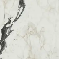 Douglas & Jones Vloertegel magnum 60x60 cm marmerlook gerectificeerd 10 mm geglazuurd calac altissim