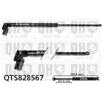 Quinton Hazell QTS828567 Gasveer achterklep