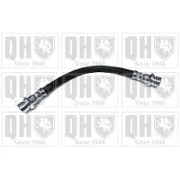 Quinton Hazell BFH6180 Remslang