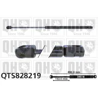 Quinton Hazell QTS828219 Gasveer achterklep