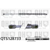 Quinton Hazell QTS128733 Gasveer motorkap