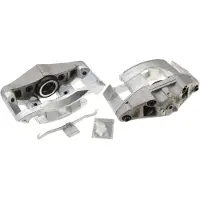 TRW BHS1387E Remklauw