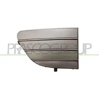 BLIC 6502-07-2019916Q Ventilatiegrille, bumper
