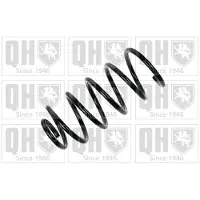 Quinton Hazell QCS5417 Chassisveer