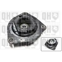 Quinton Hazell EMR4905 Veerpootlager