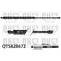 Quinton Hazell QTS828672 Gasveer achterklep