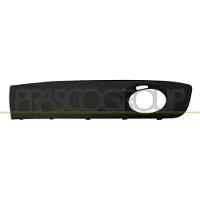 BLIC 6502-07-9568923P Ventilatiegrille, bumper