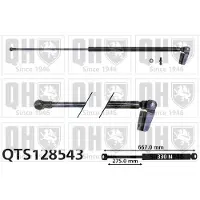 Quinton Hazell QTS128543 Gasveer achterklep