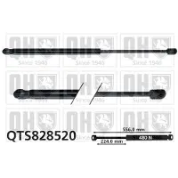 Quinton Hazell QTS828520 Gasveer achterklep