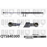 Quinton Hazell QTS840300 Gasveer achterklep