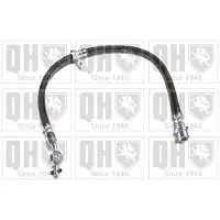 Quinton Hazell BFH6169 Remslang