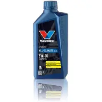 Valvoline 881924 Motorolie