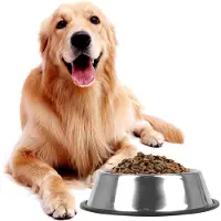 Nobleza Hondenvoerbak RVS - Maat L - Inhoud 750 ml - Voerbak hond - Drinkbak hond - Anti-slip