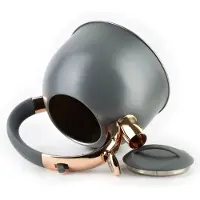 COOKINI by MONDEX Sten Grijs-goud waterkoker 2.5 liter