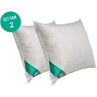 Ten Cate Hoofdkussen - Hoofdkussen Nekklachten - Kussen set van 2 - Eendenveren - Hoofdkussens - Geschikt voor rug-, zij- en buikslapers - Ergonomisch Kussen - 60x70 cm - 2 pack
