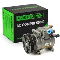 RIDEX 447K0317R Aircopomp
