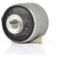 BSG 90-700-039 Draagarmrubber