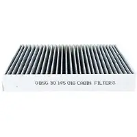 BSG 30-145-016 Interieurfilter