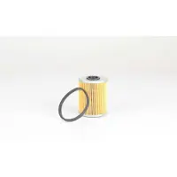 BSG 65-130-010 Brandstoffilter