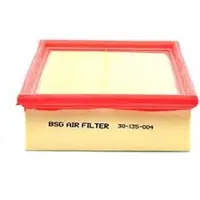 BSG 30-135-004 Luchtfilter