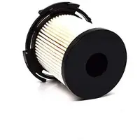 BSG 30-130-012 Brandstoffilter