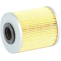 BSG 65-130-007 Brandstoffilter