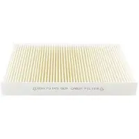 BSG 70-145-009 Interieurfilter