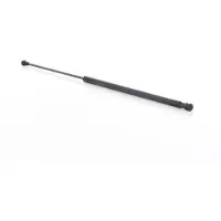 BSG 70-980-034 Gasveer achterklep