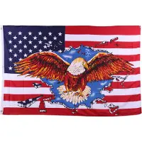 Fostex vlag USA Adelaar