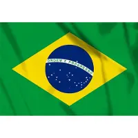 Fostex vlag Brazilie, Braziliaanse vlag