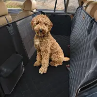 De Blaffende Kat Premium Hondendeken Auto Achterbank - Autodeken Hond Achterbank - Hondenmand Auto - Zwart - Met Opbergtas en 2x Autogordel Hond