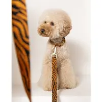 DOGGUO hondenriem ZEBRA-LEASH-RUST/BLACK-M