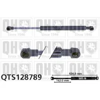 Quinton Hazell QTS128789 Gasveer achterklep