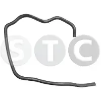 STC T408339 Radiateurslang