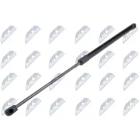 NTY AE-PE-040 Gasveer achterklep