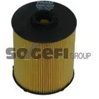 FRAM C8981ECO Brandstoffilter