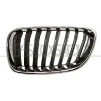 PRASCO BM2502004 Radiator grill