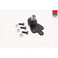 FAI AutoParts SS10857 Fuseekogel