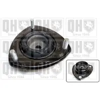 Quinton Hazell EMR4813 Veerpootlager