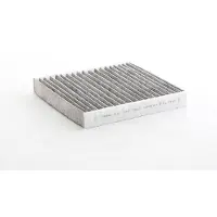 BSG 63-145-001 Interieurfilter