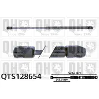 Quinton Hazell QTS128654 Gasveer achterklep