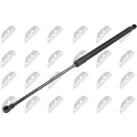 NTY AE-PE-036 Gasveer achterklep