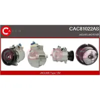 Casco CAC81022AS Aircopomp