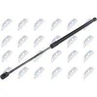 NTY AE-PE-037 Gasveer achterklep