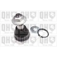 Quinton Hazell QSJ3834S Fuseekogel