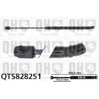 Quinton Hazell QTS828251 Gasveer achterklep